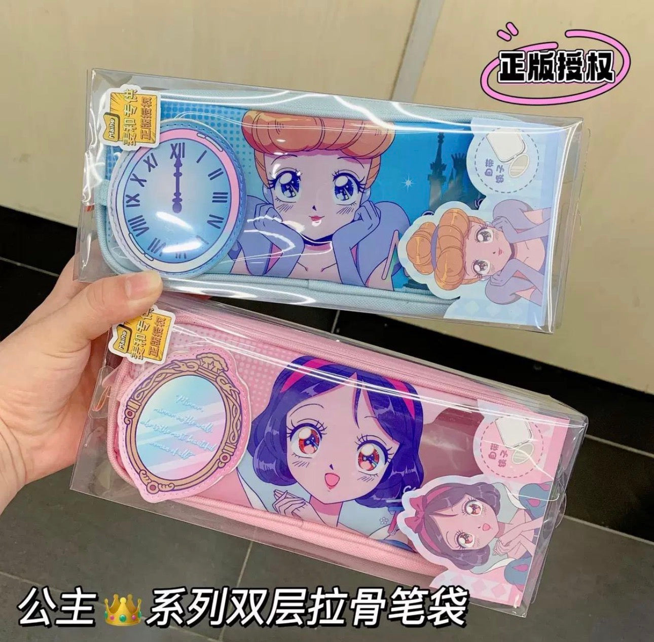 Princess Pencil Case